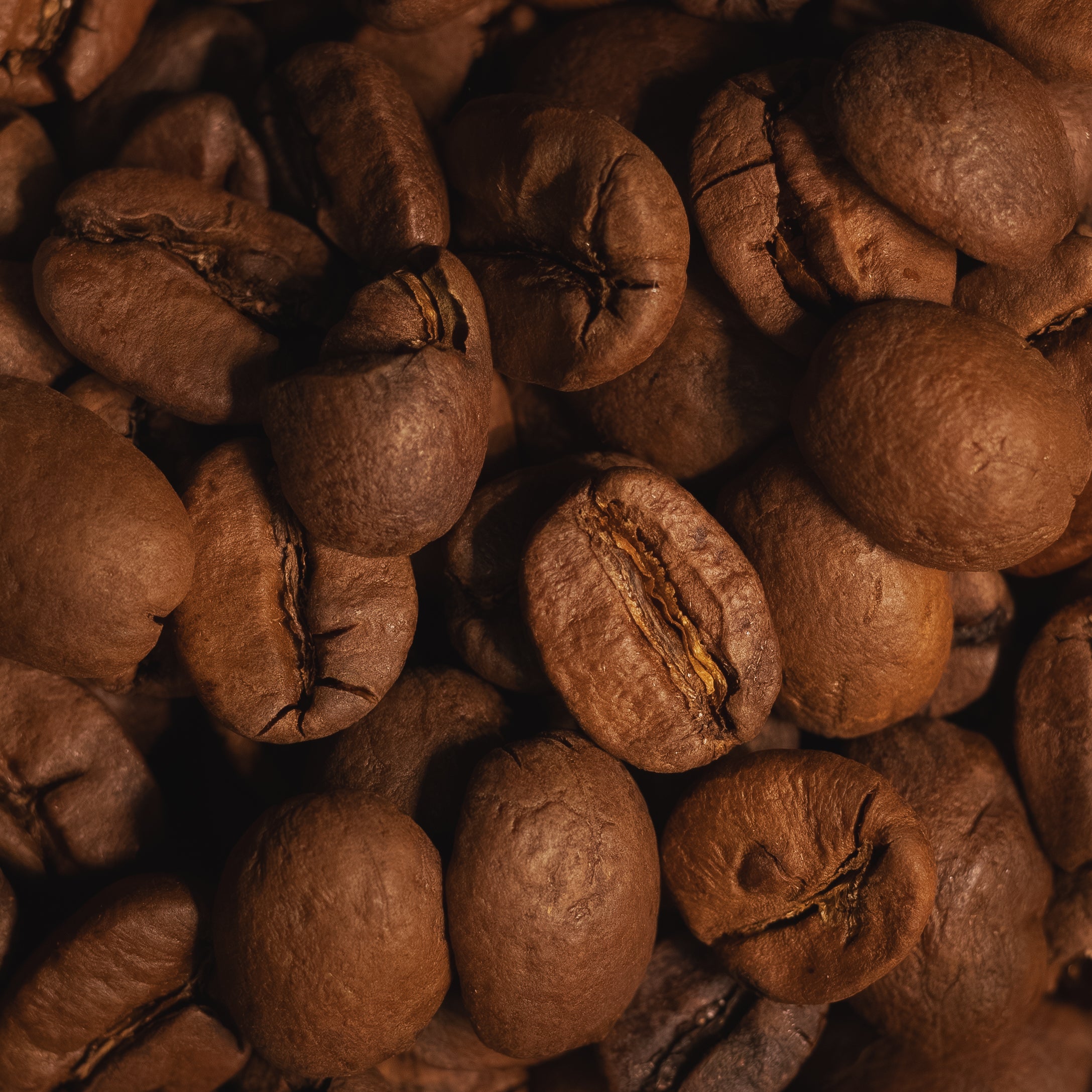 Close-up of roasted coffee beans