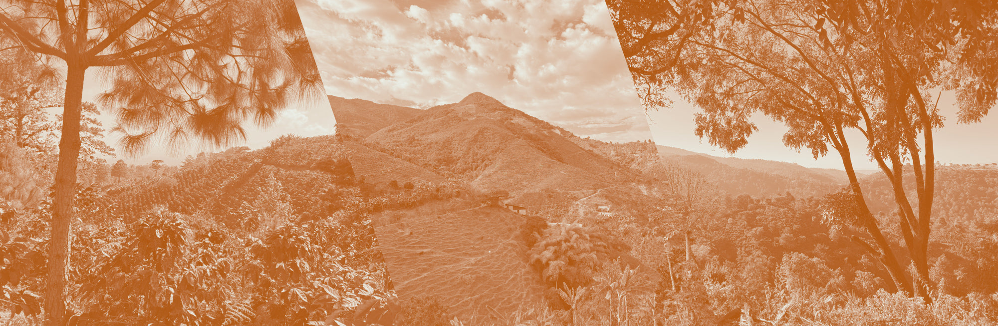 Three-panel view of a mountain landscape with trees and a clear sky.