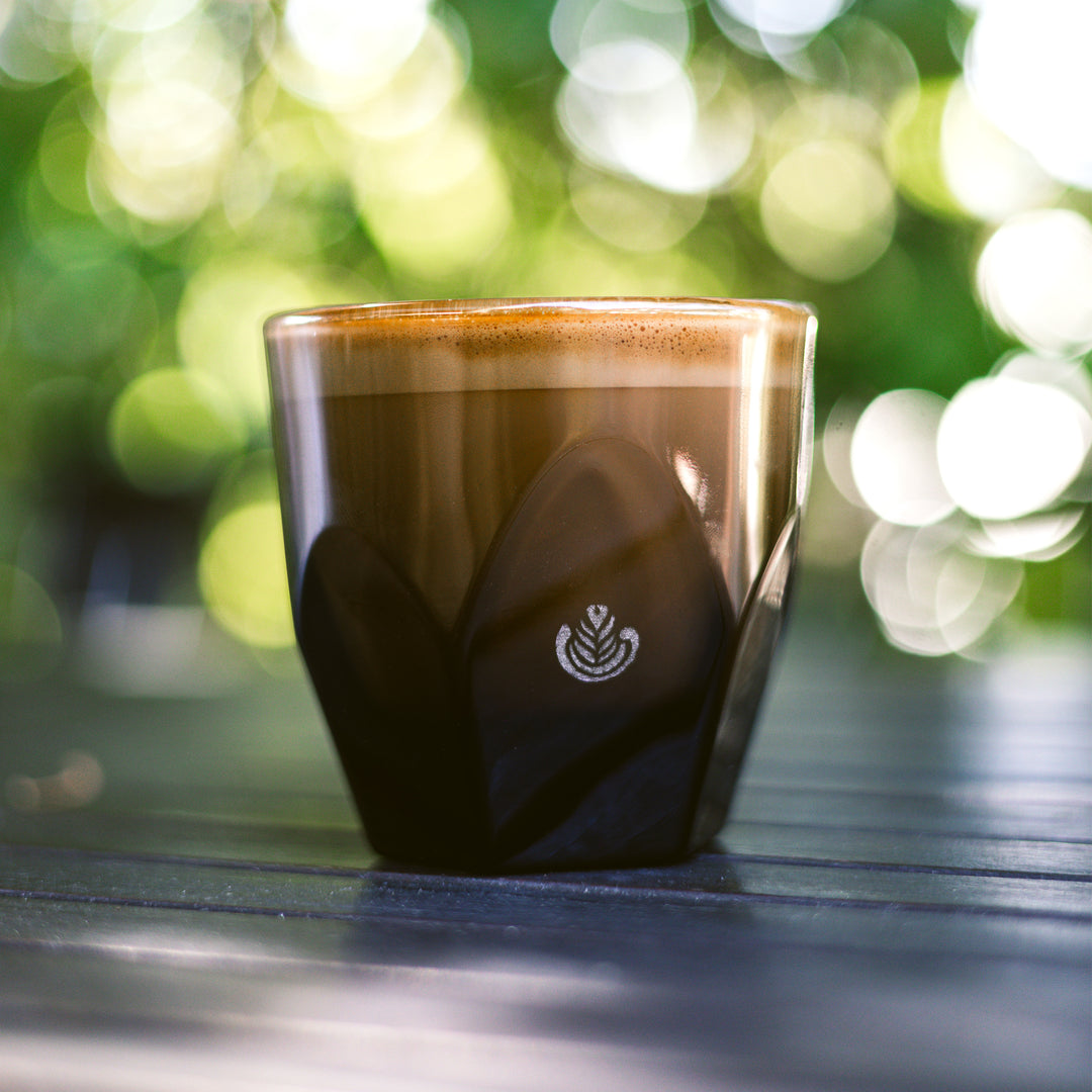 Vero Glass – Temple Coffee Roasters